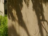 image of grave number 835566